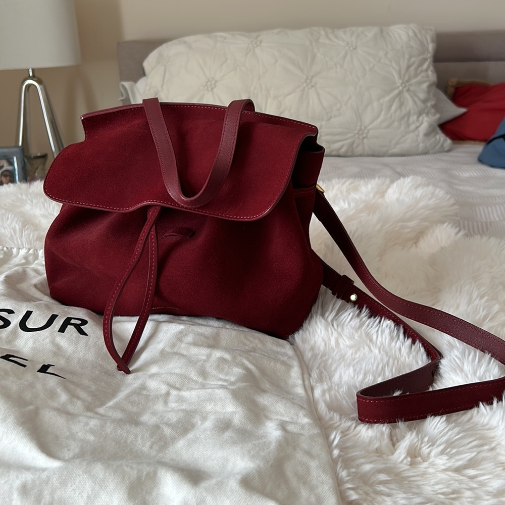 Mansur Gavriel Ladybag - Picture 8 of 15